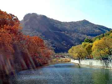 澳门天天开奖免费资料，乡土小说